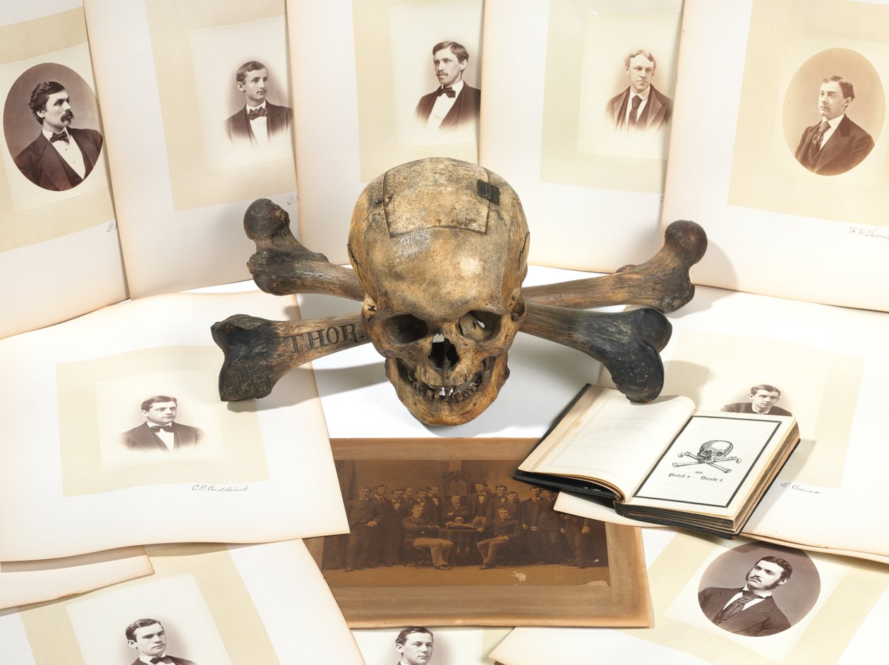 Skull-and-Bones stemmeurn af American School