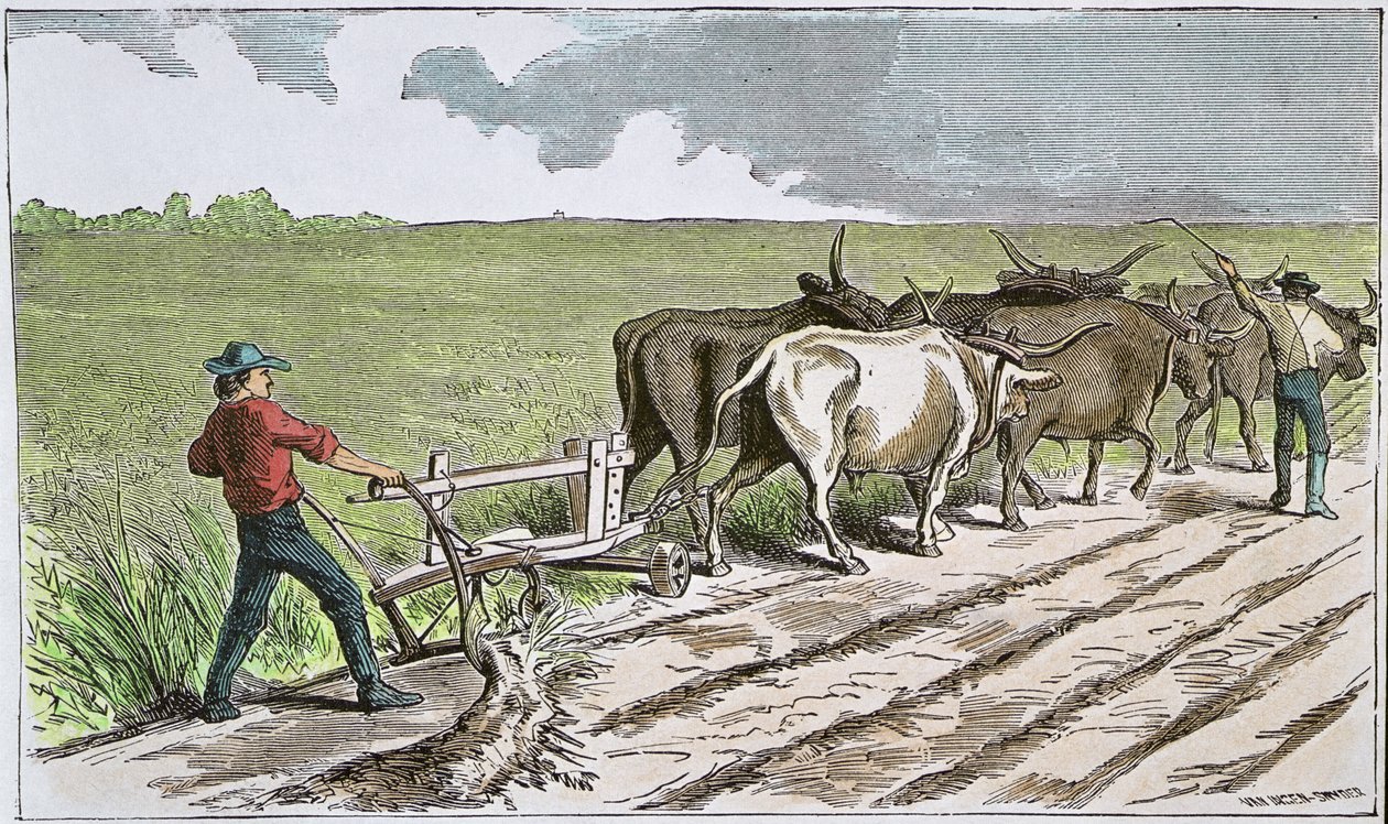 Sodbusters of the American West, ca. 1880 (farvet gravering) af American School