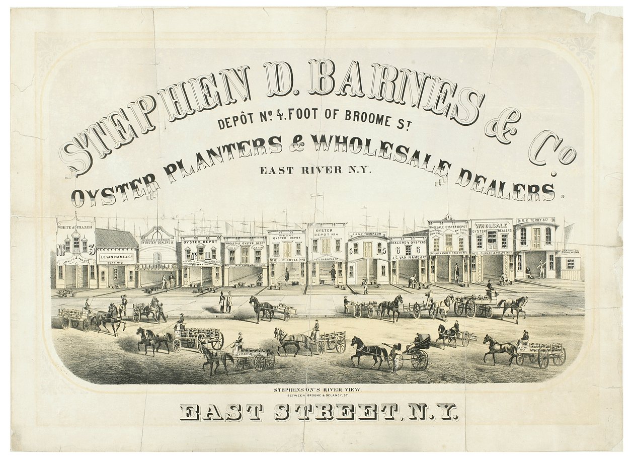 Stephen D. Barnes & Co. Oyster Planters & Engros-forhandlere, depotnr. 4 fod fra Broome Street af American School