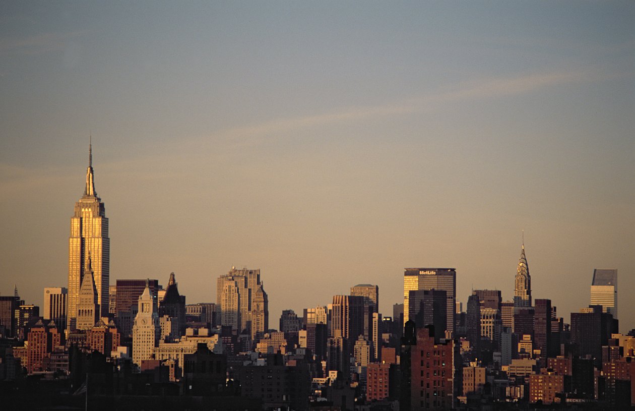 Manhattan Skyline af American School