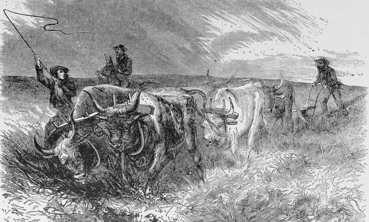 The Prairie Sod Plough, illustration fra 