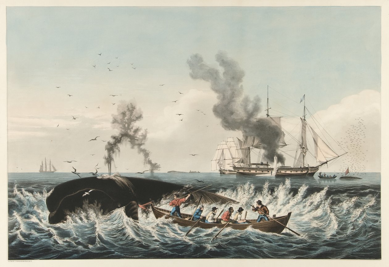 The Whale Fishery - Angreb på en 