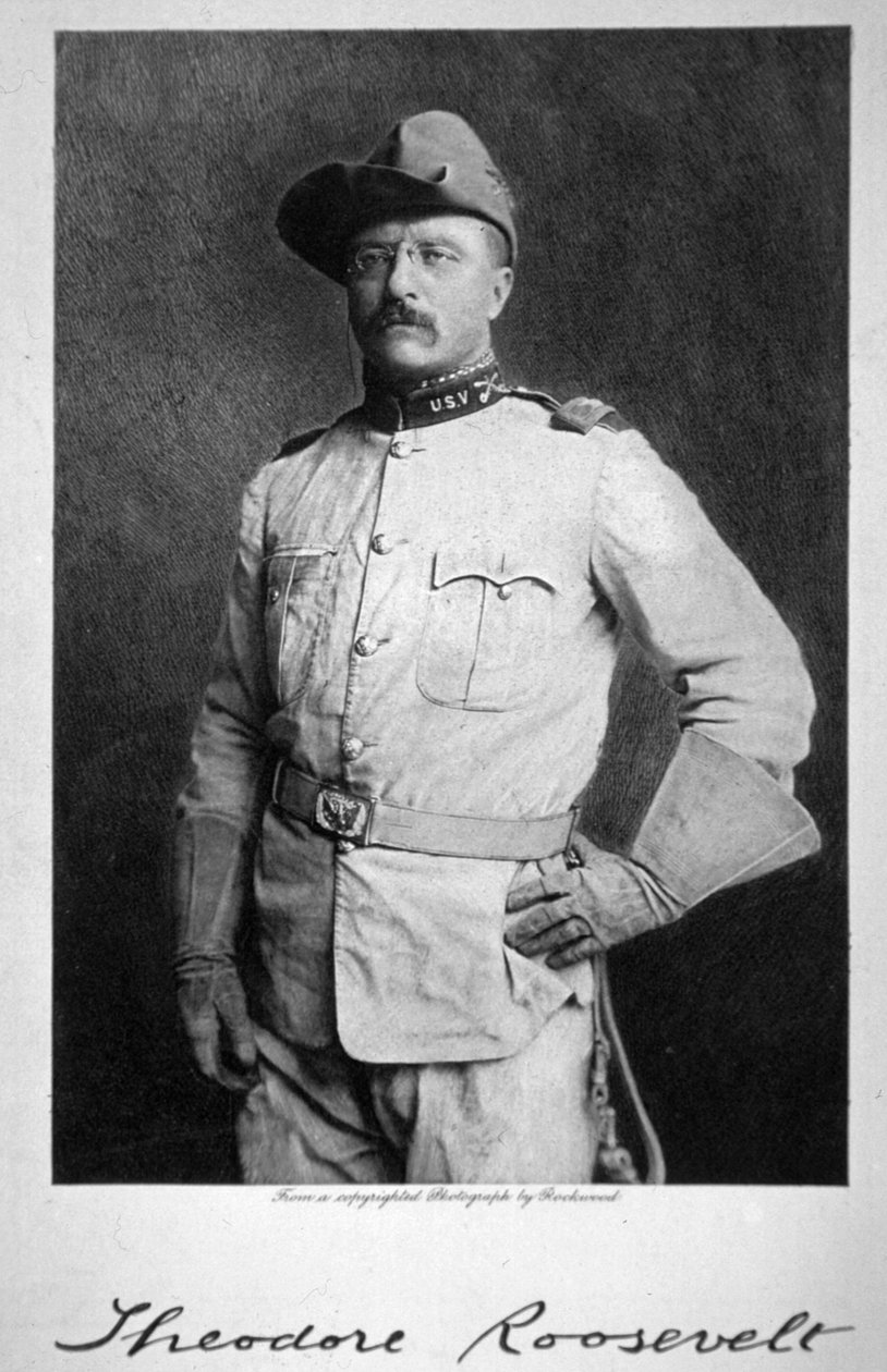 Theodore Roosevelt af American School