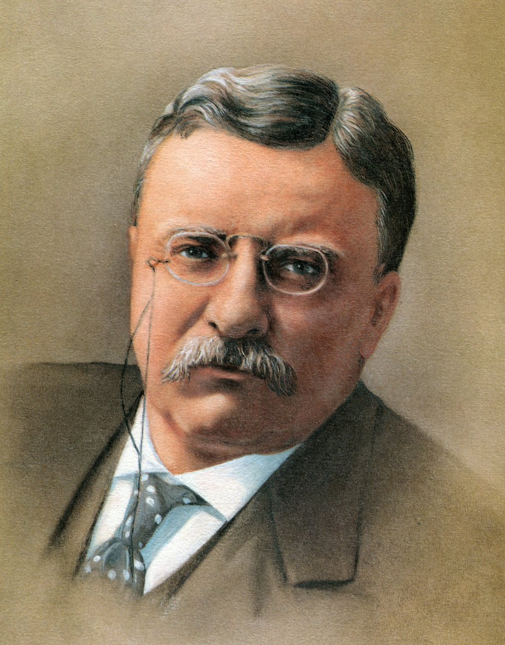 Theodore Roosevelt af American School