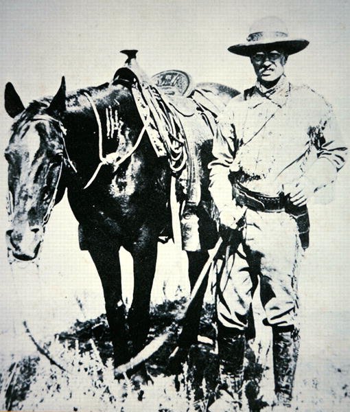 Theodore Roosevelt med sin hest, ca. 1885 (litho) af American School