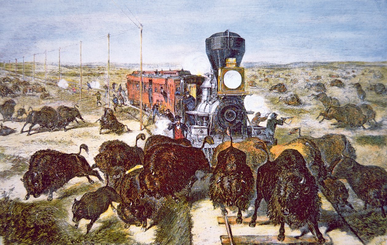 Togpassagerer på Kansas Pacific Railroad, der skyder bøfler til sport i 1870
