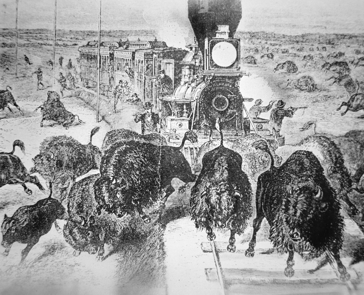 Togpassagerer på Kansas Pacific Railroad, der skyder bøfler til sport i 1870