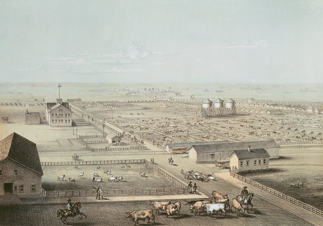 Union Stockyards, Chicago af American School