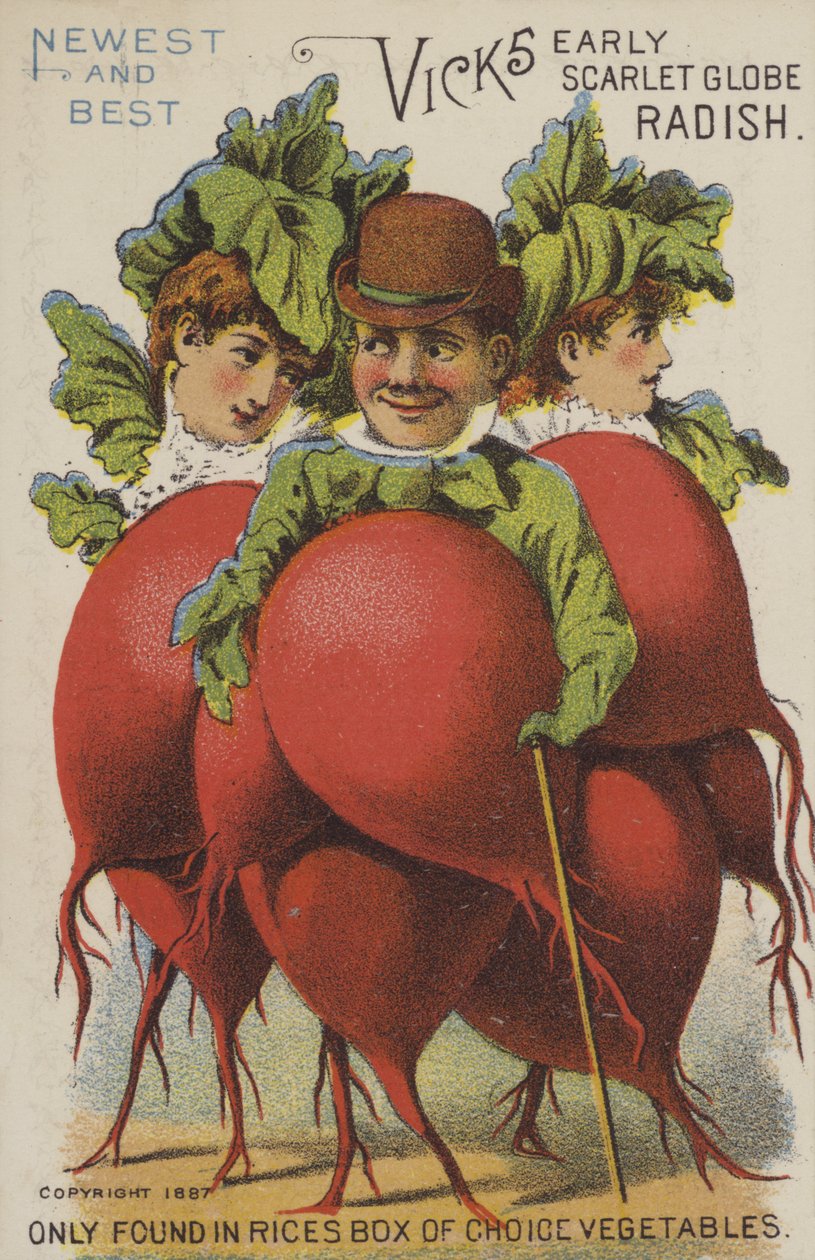 Vicks Early Scarlet Globe Radise (chromolitho) af American School