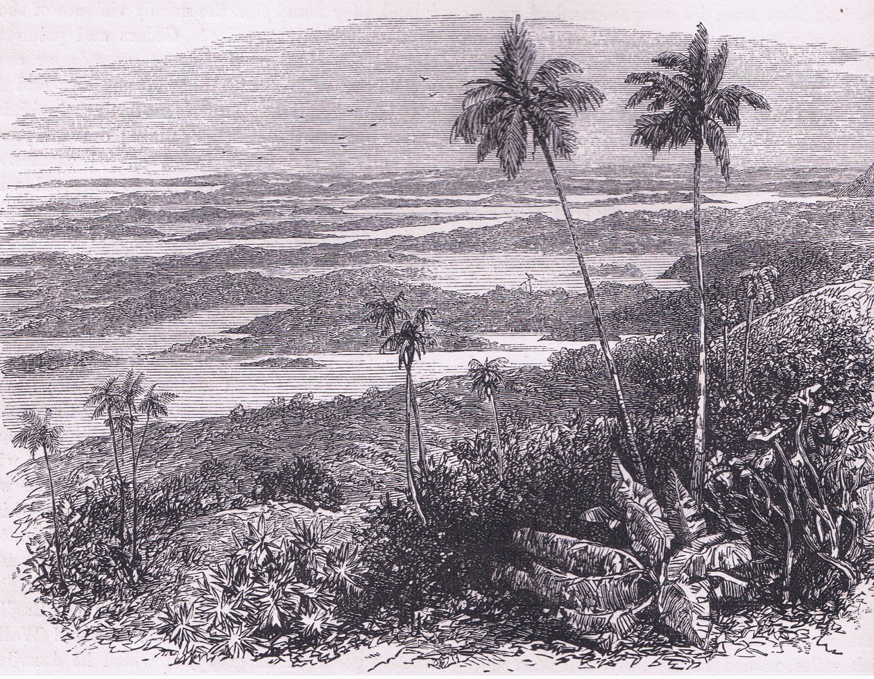 Udsigt over Bermudaerne, illustration fra Cassell