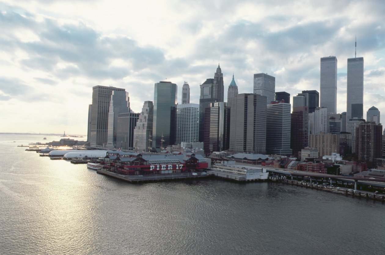 Udsigt mod finansdistriktet over East River af American School