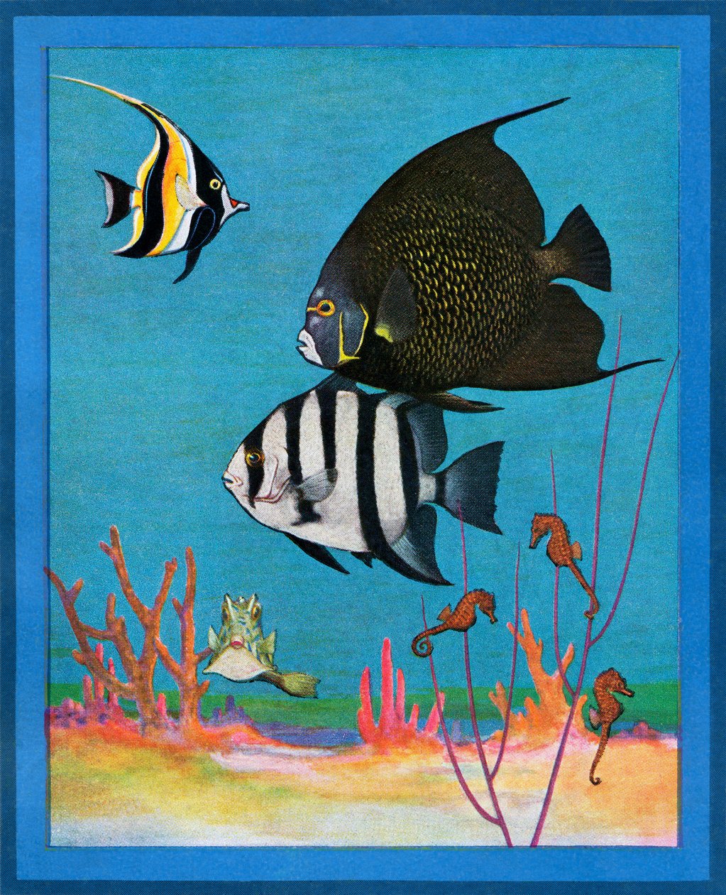 Vintageprint af et saltvandsakvarium med tropiske fisk af American School