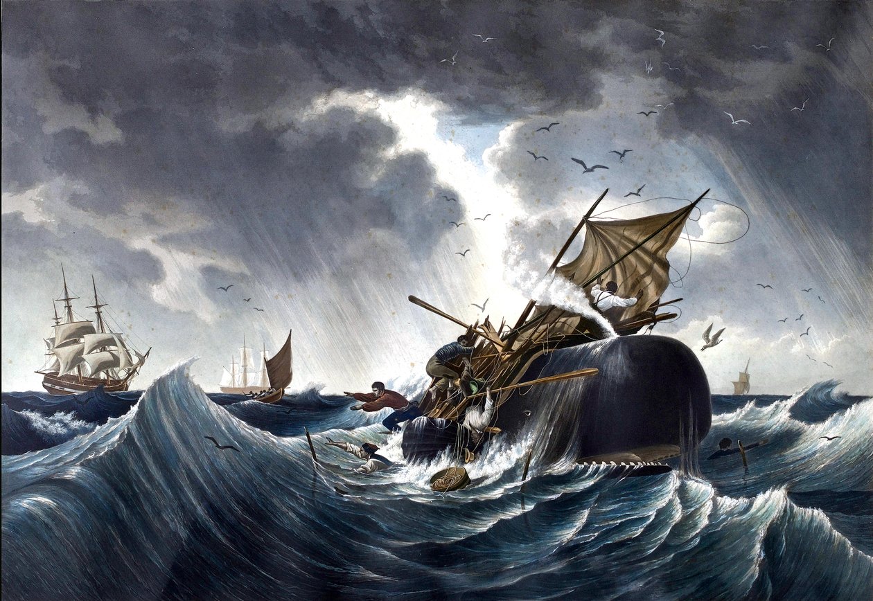 Whale Destroying Whaling Ship, ca. 1875 (akvarel på papir) af American School