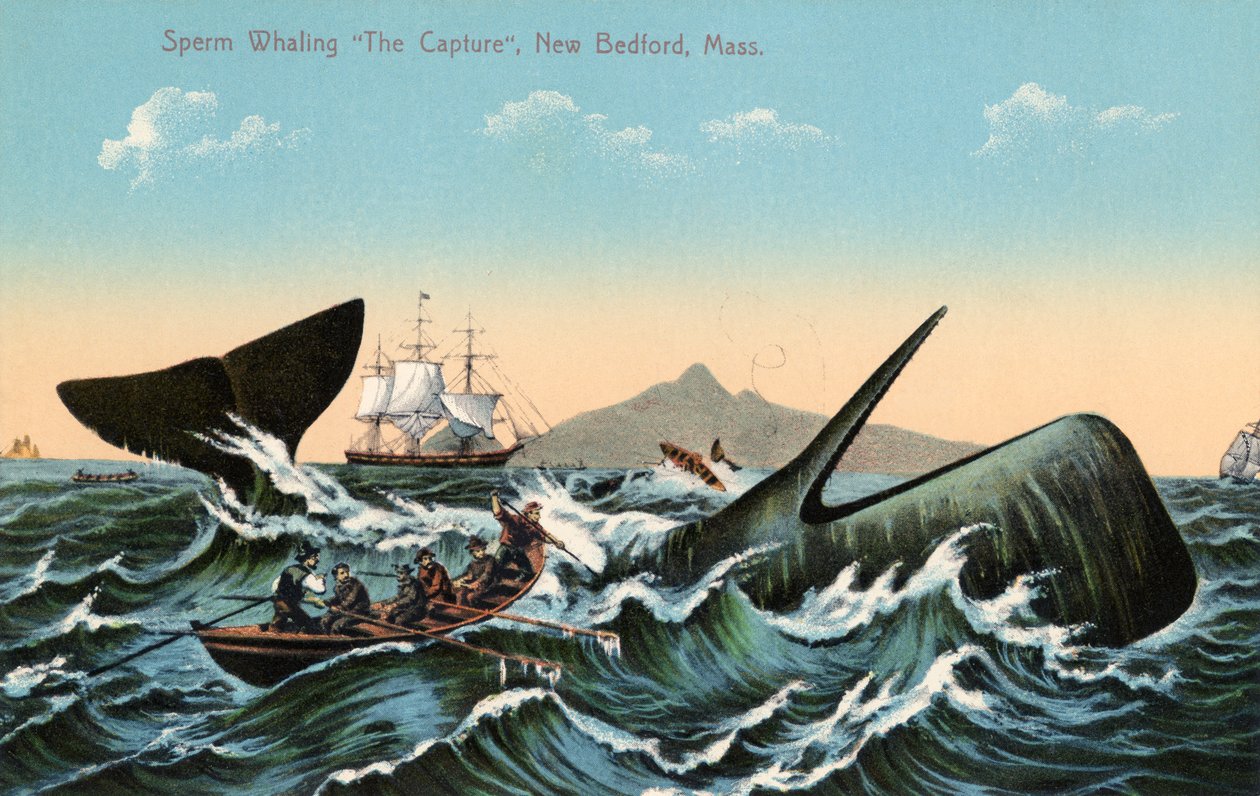 Hvalfangere, der harpunerer en kaskelothval ud for New Bedford, Massachusetts af American School