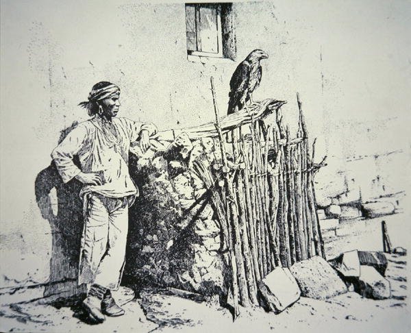 Zuni stammemand med et ørnebur af American School