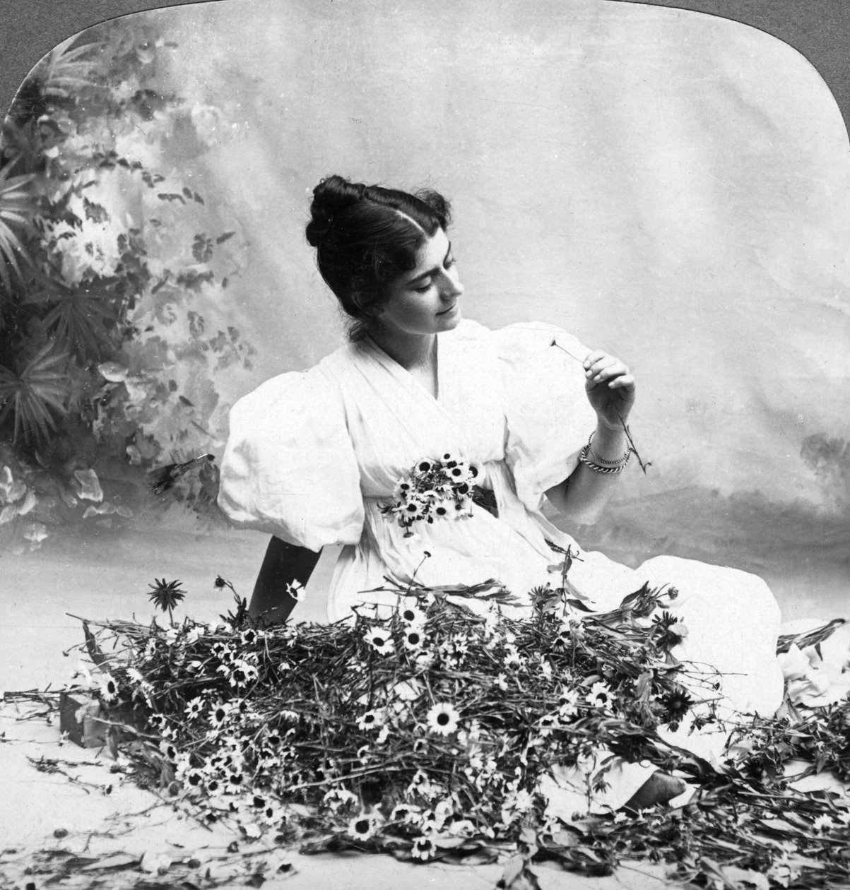 Fortæl mig, at Daisy elsker mig. af American Stereoscopic Company