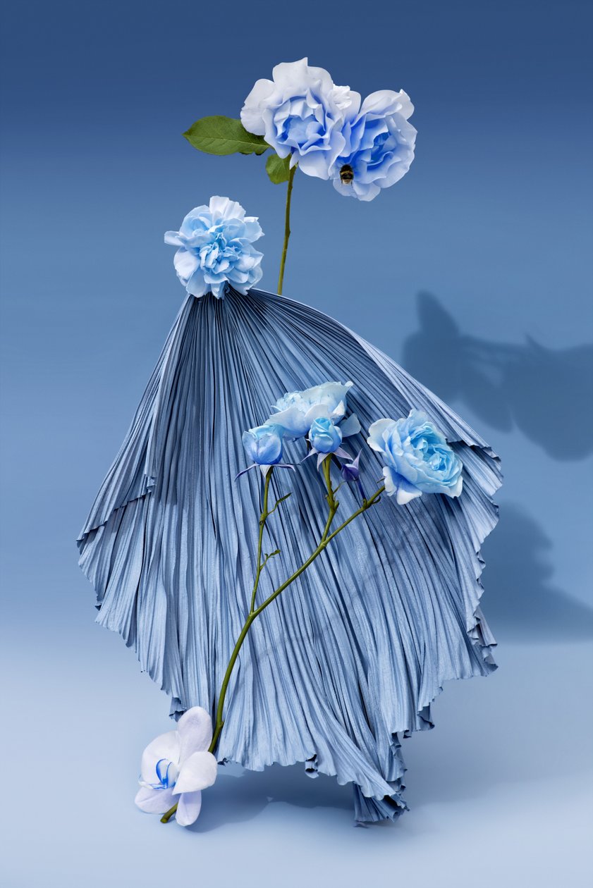  af Ana Carolina Tavares Mizrahi