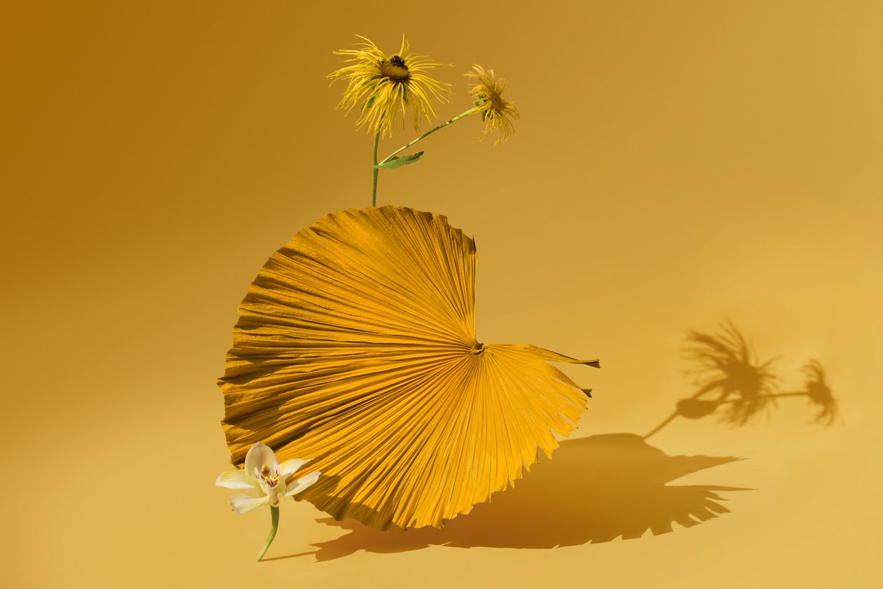  af Ana Carolina Tavares Mizrahi