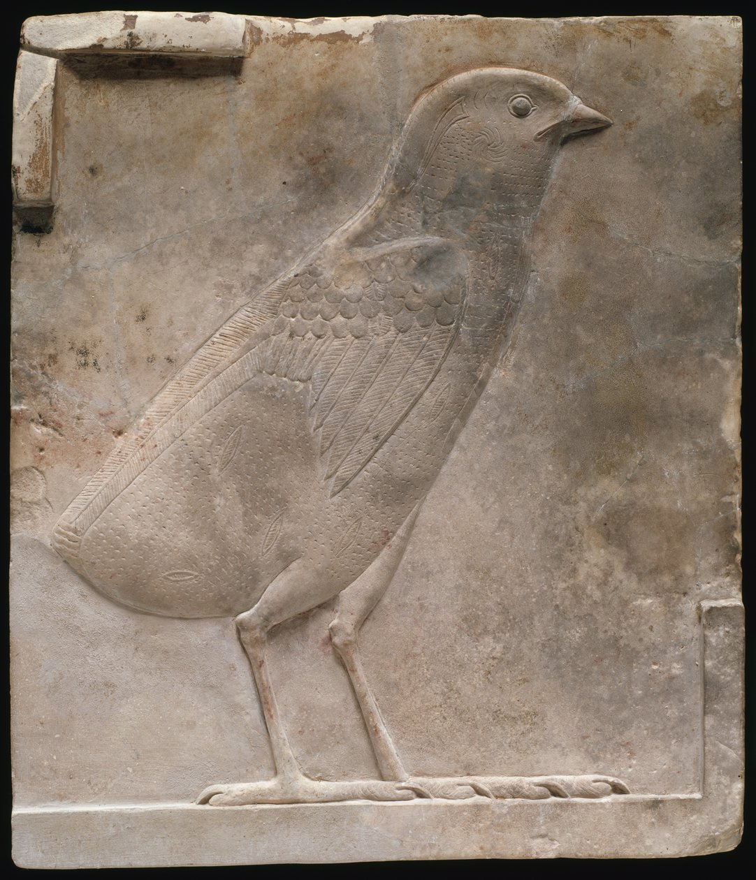 Plakette med billede af en vagtelkylling af Ancient Egyptian