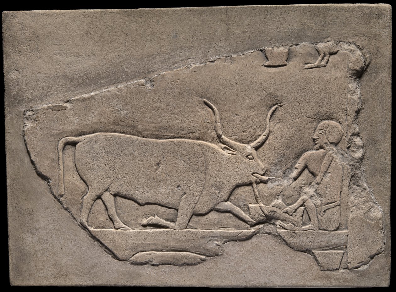 Vægfragment fra en grav, der forestiller en hyrde af Ancient Egyptian