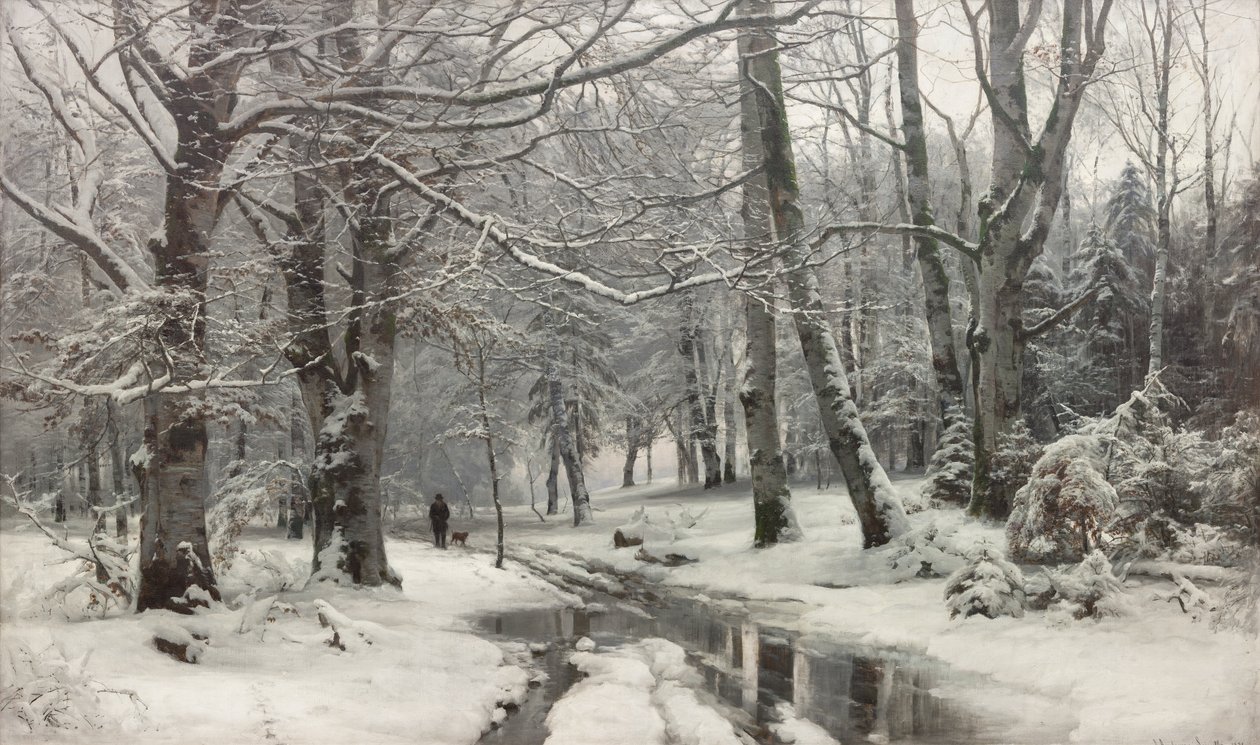 Tøvejr i en bøgeskov af Anders Andersen Lundby