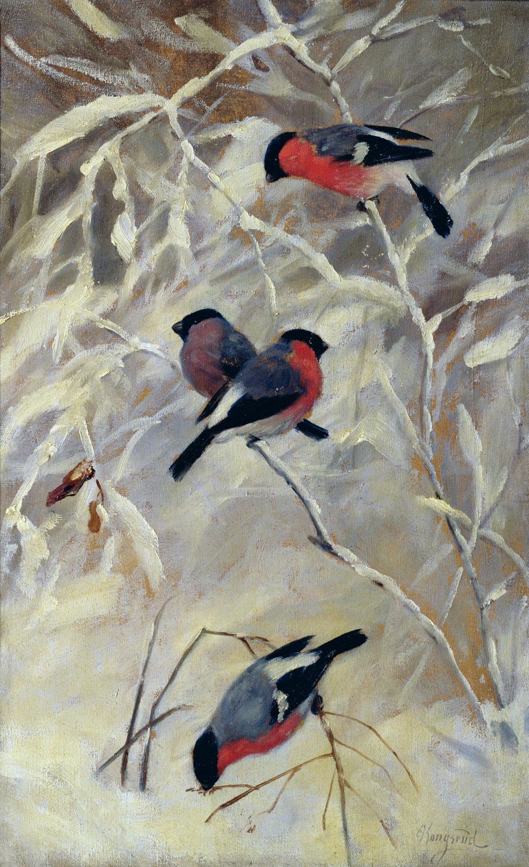 Bullfinches (olie på lærred) af Anders Kongsrud