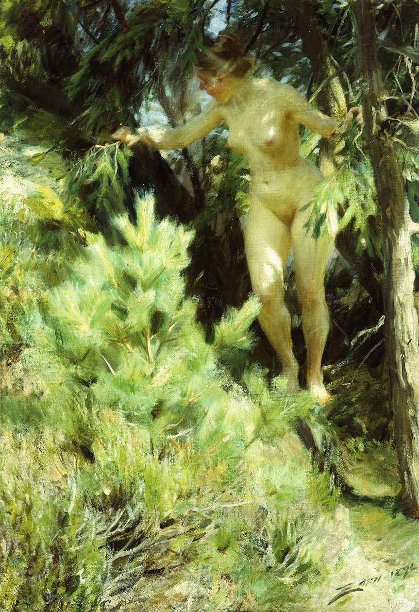 Wood-Sprite, 1892 af Anders Leonard Zorn