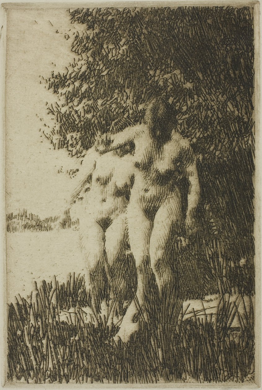 Alder af Anders Leonard Zorn