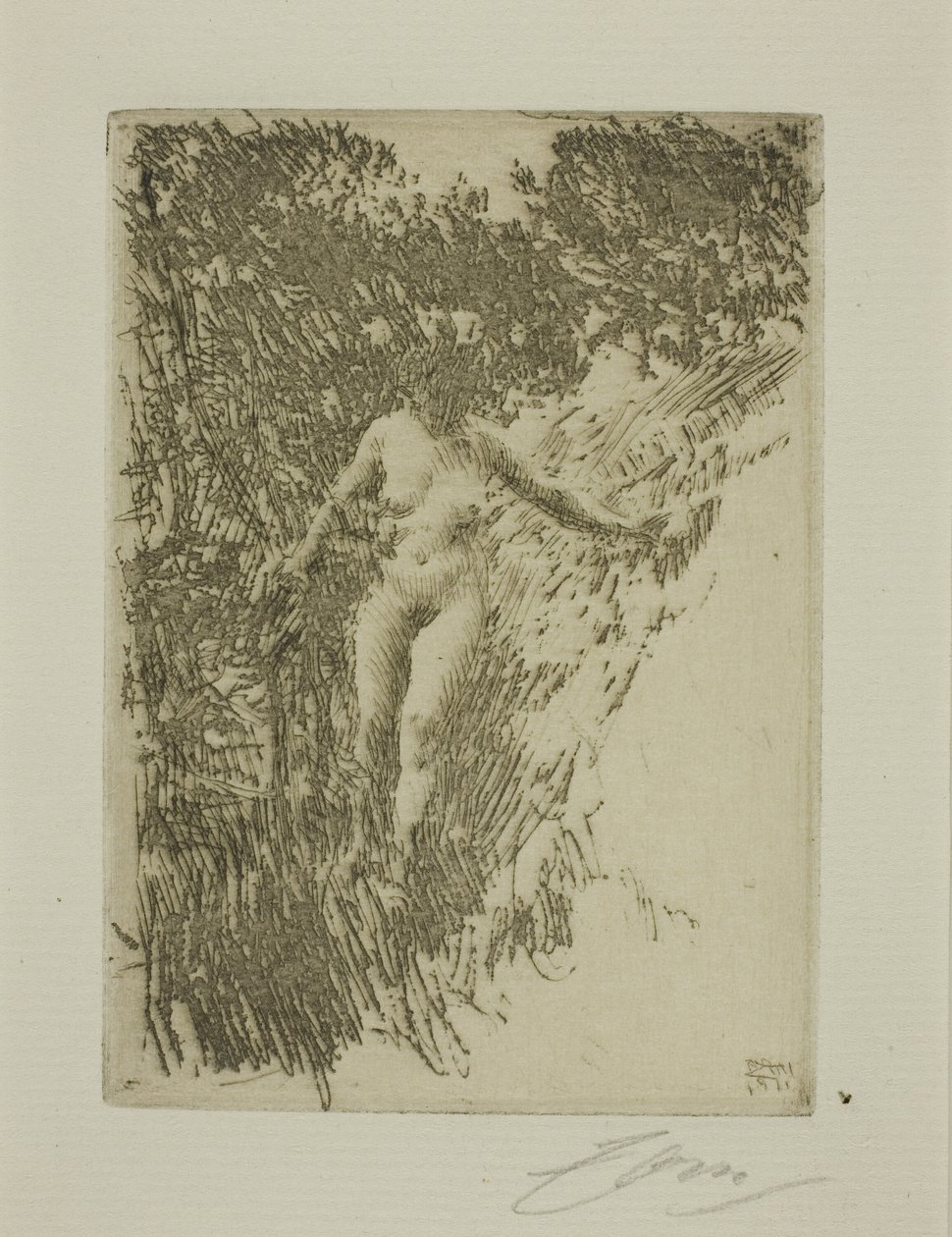 Børstetræ af Anders Leonard Zorn