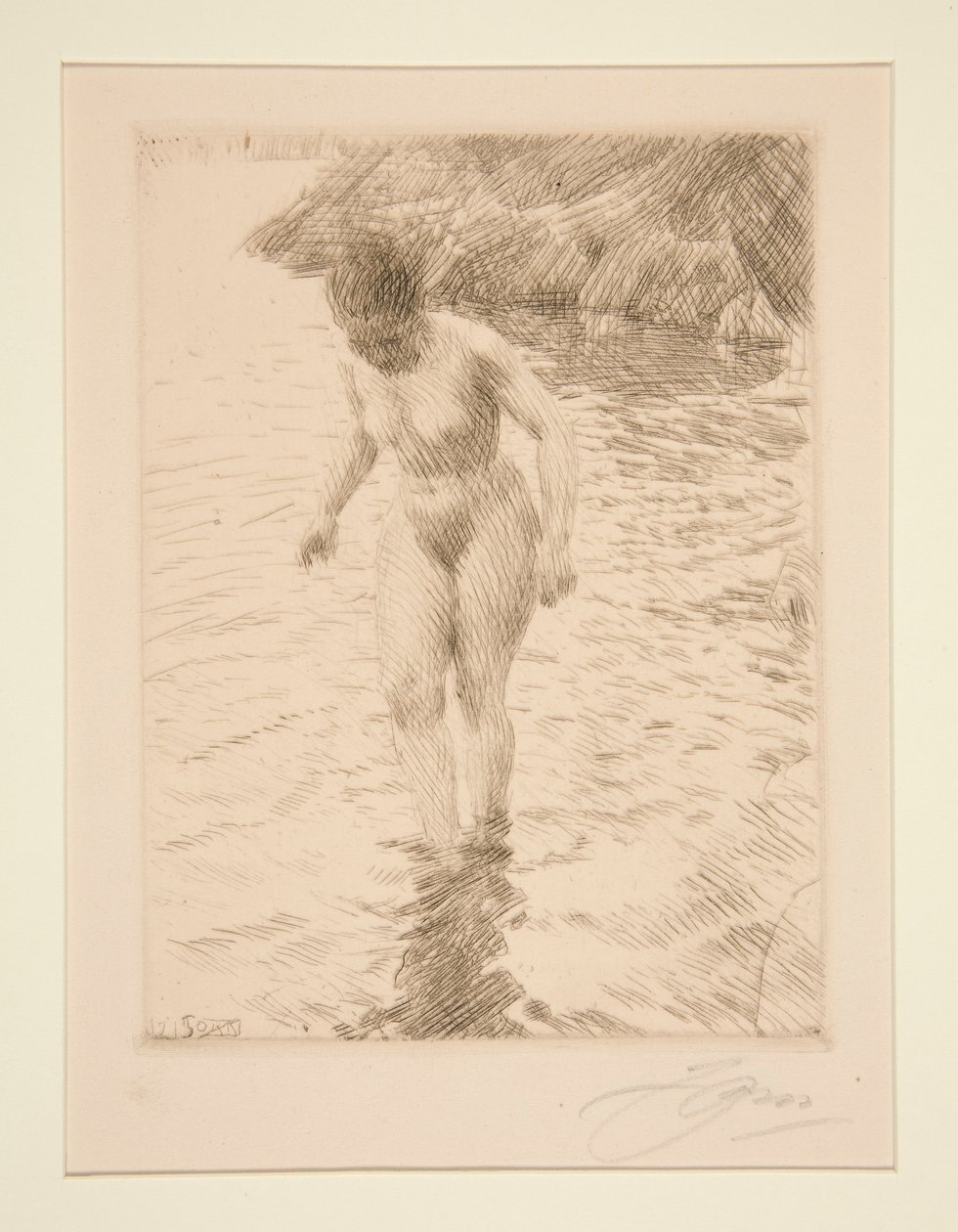 dollars af Anders Leonard Zorn