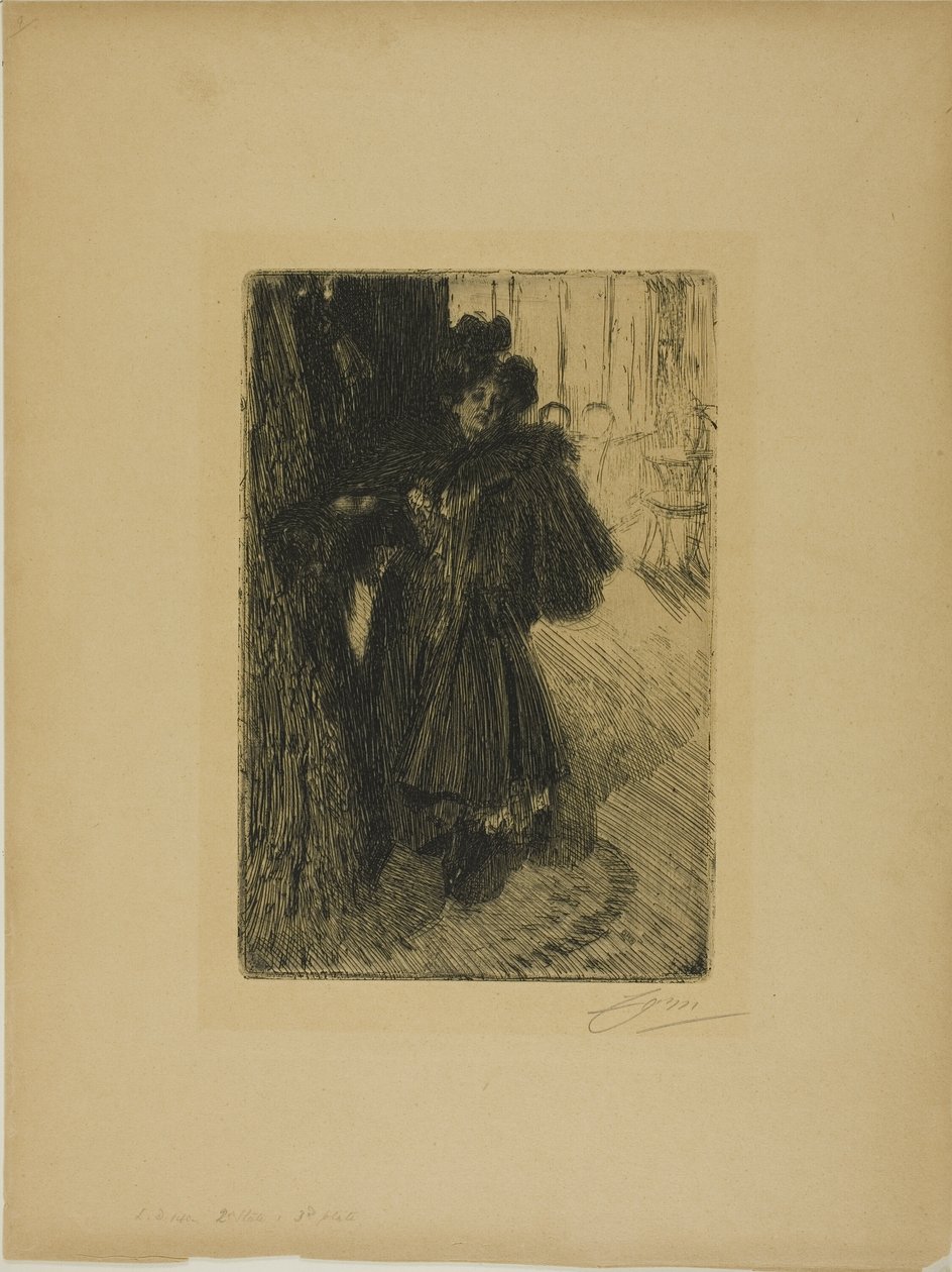 Nateffekt II af Anders Leonard Zorn