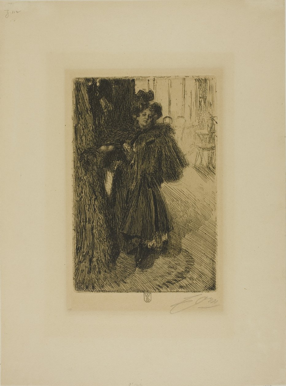 Nateffekt II af Anders Leonard Zorn