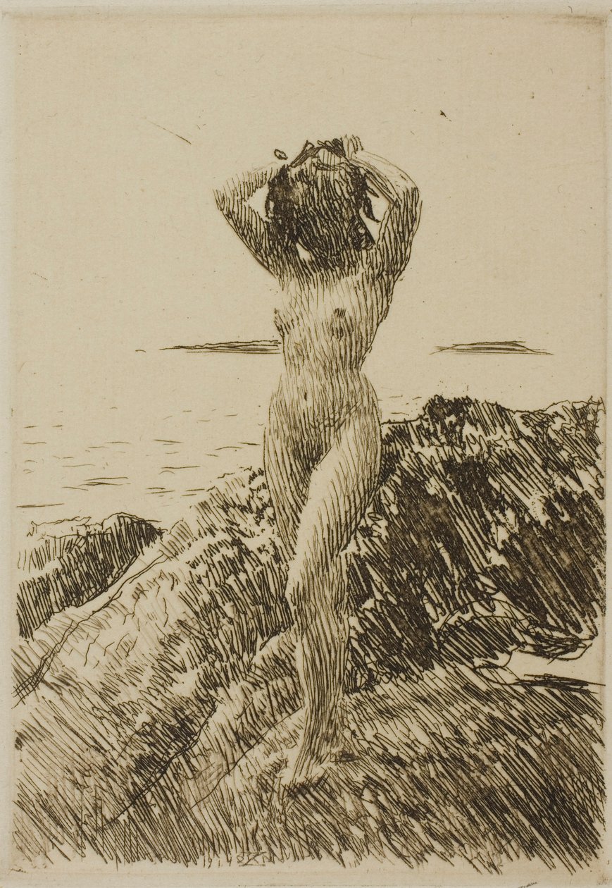 Hårtång (tangkrans) af Anders Zorn