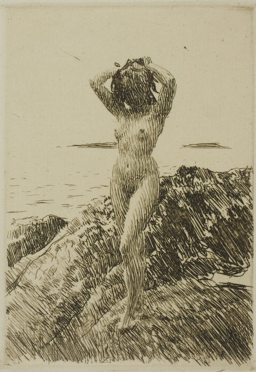 Hårtång (tangkrans) af Anders Leonard Zorn