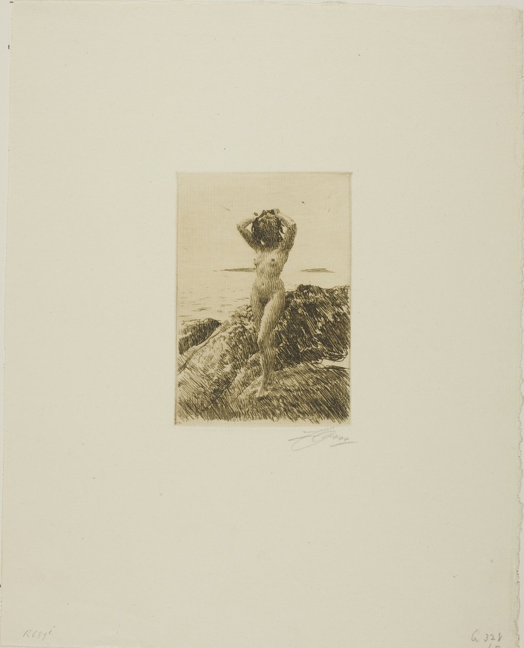 Hårtång (Havved-krans) af Anders Leonard Zorn