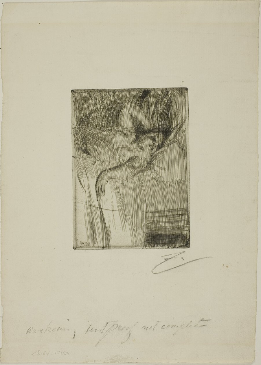 Alarmen af Anders Leonard Zorn