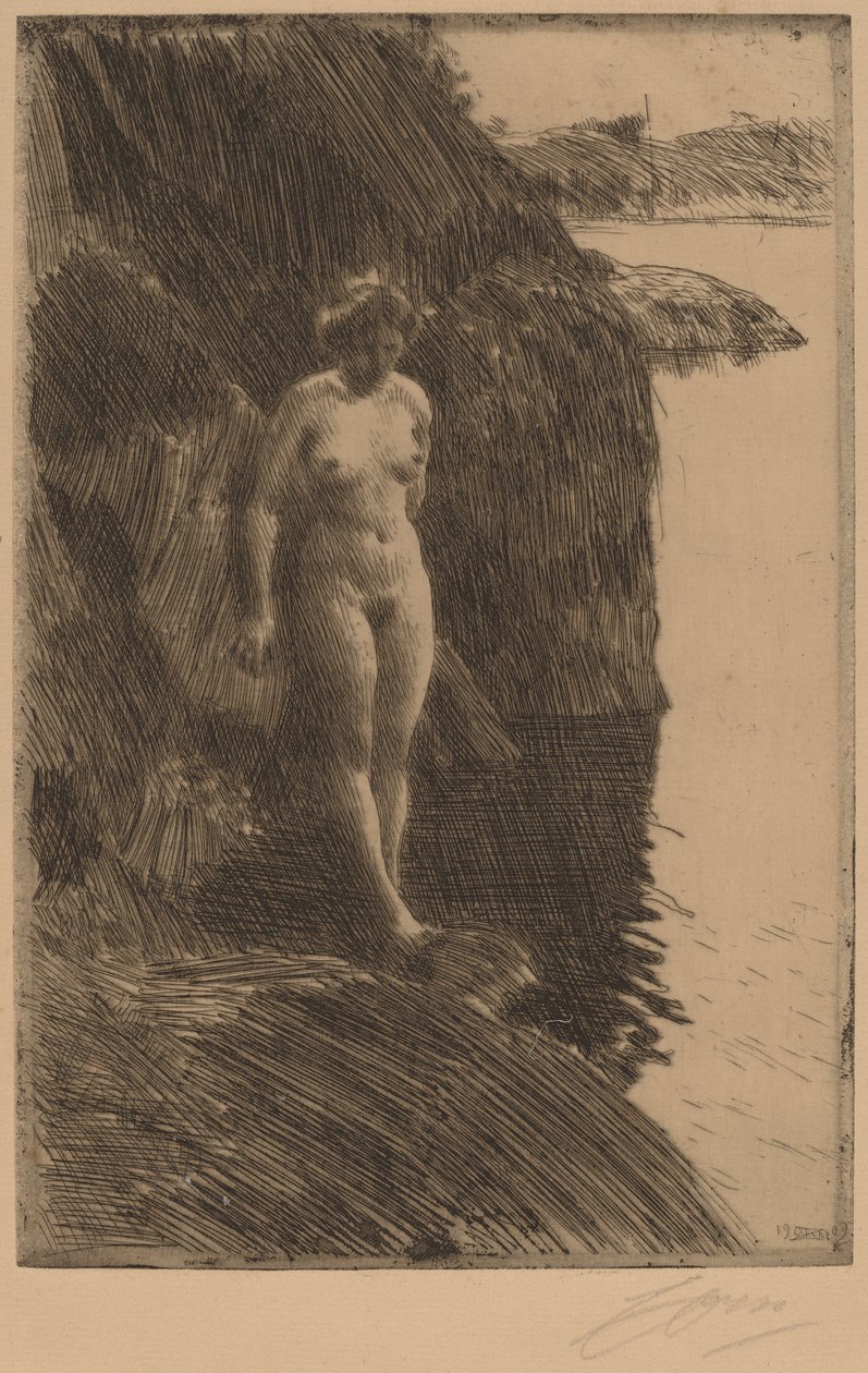 Afgrund af Anders Leonard Zorn
