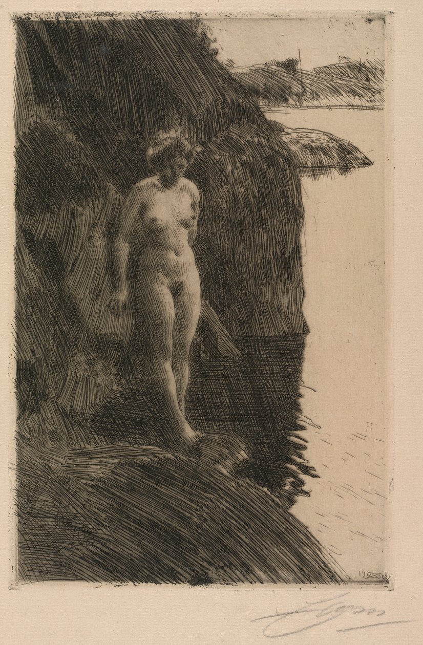 Afgrund af Anders Leonard Zorn