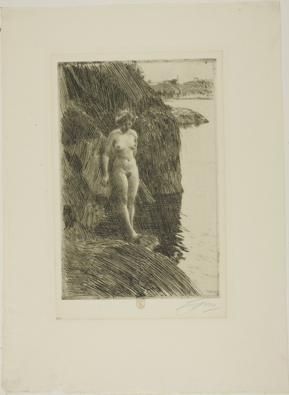 Afgrund af Anders Leonard Zorn