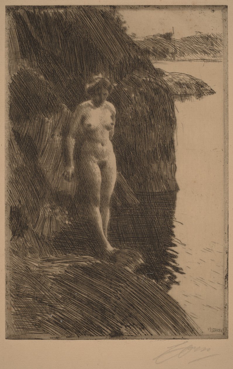 Afgrund af Anders Zorn