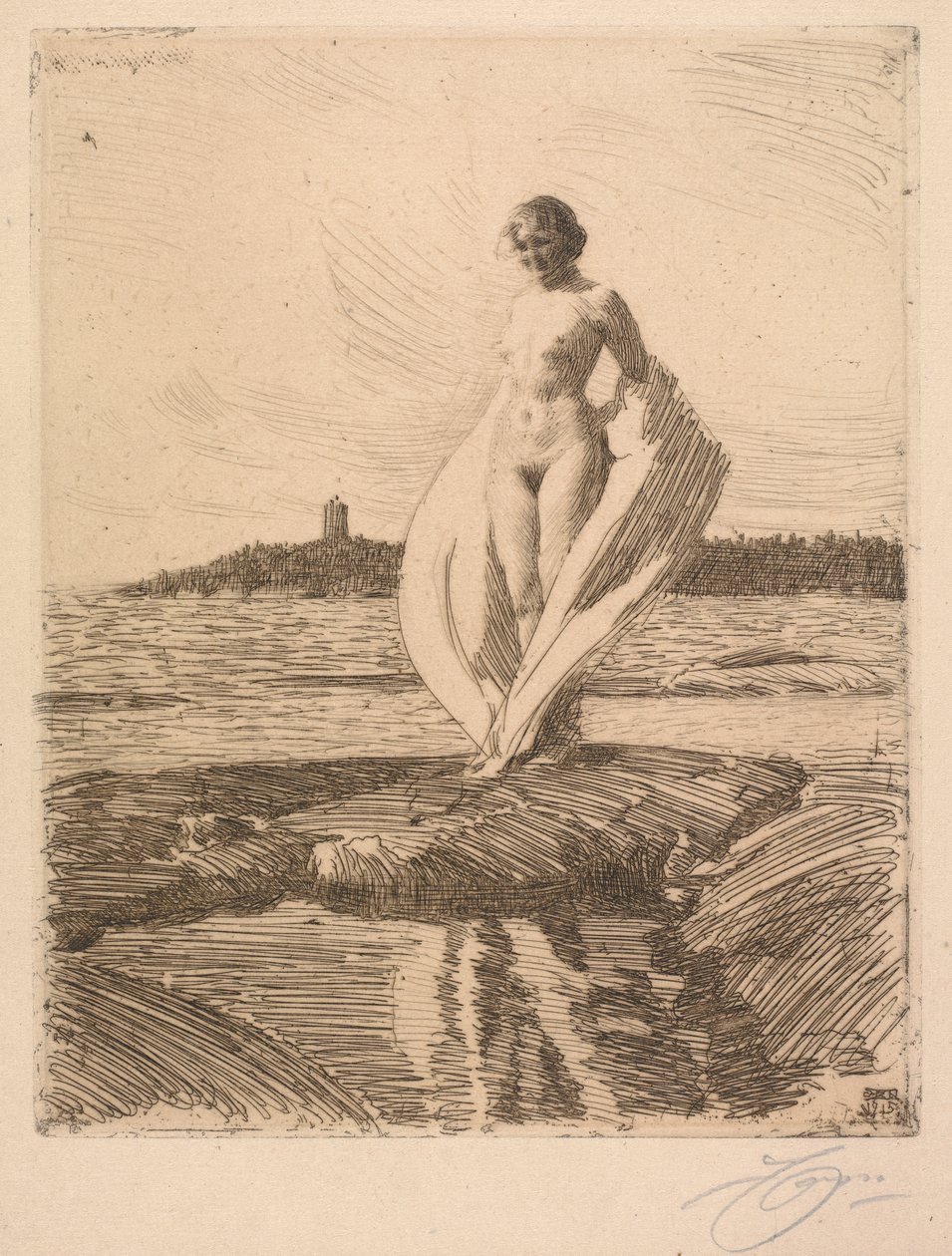 Svanen af Anders Leonard Zorn