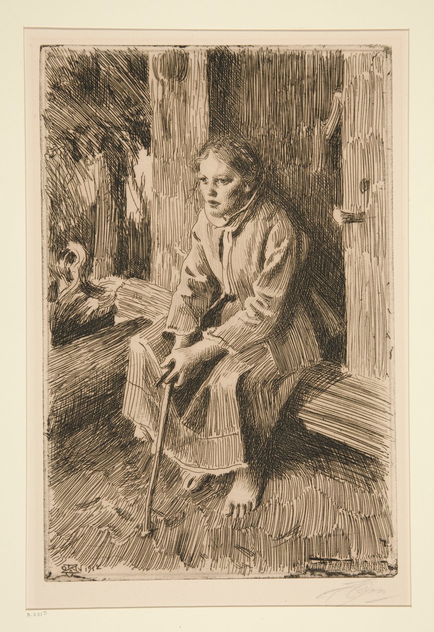 Med protein af Anders Leonard Zorn