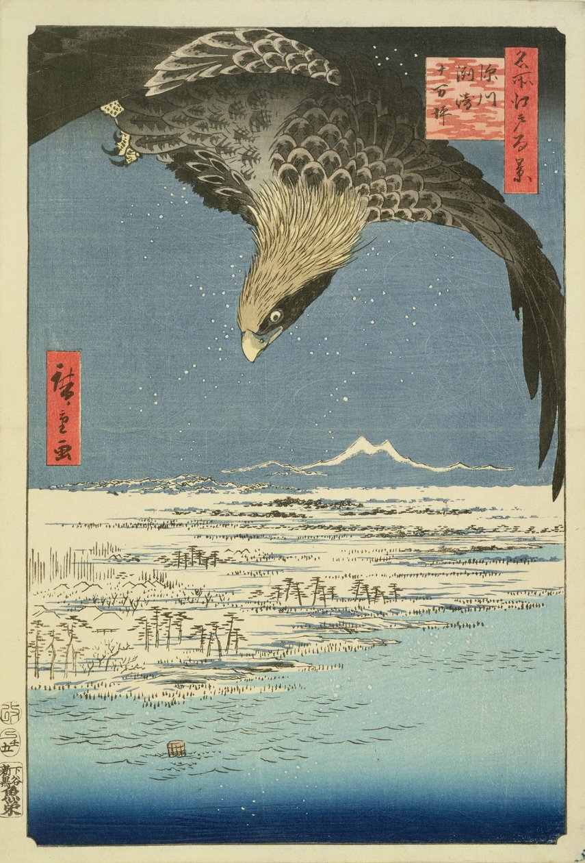 Eagle Over 100.000 Acre Plain ved Susaki, Fukagawa (
