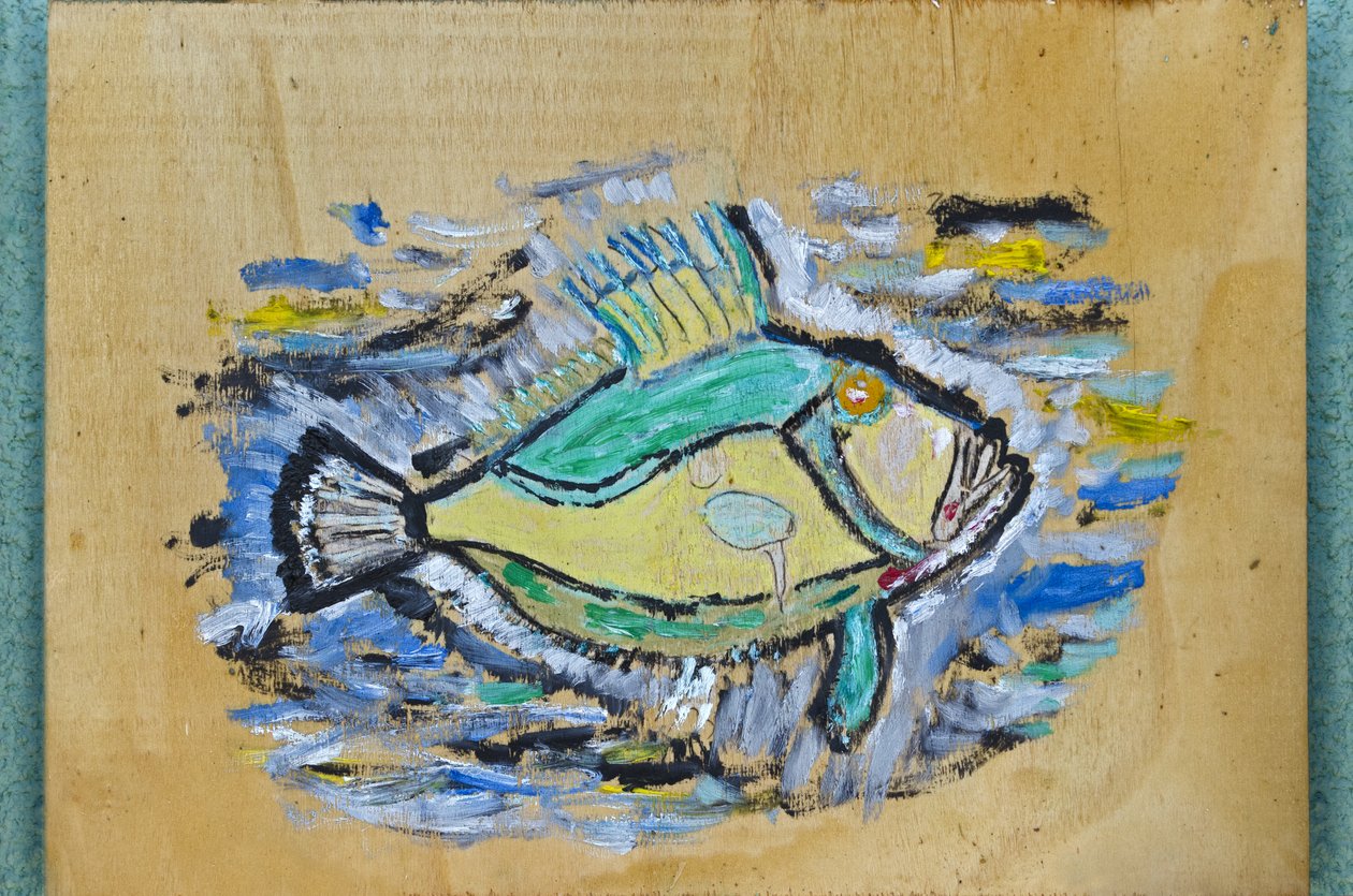 FISK FRA DYBET af Ando Gilardi