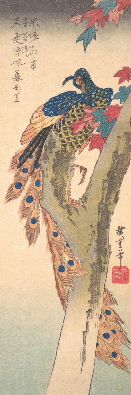 En påfugl på et ahorntræ, ca. 1833., ca. 1833. af Ando Hiroshige