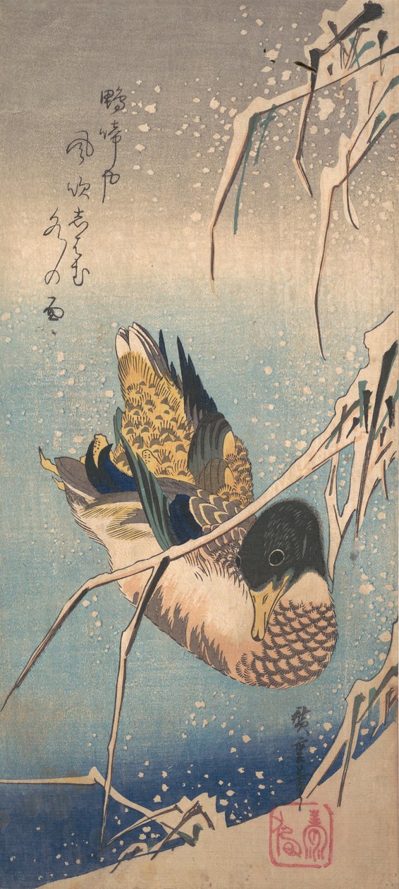 En vildand nær en snefyldt kyst, ca. 1843., ca. 1843. af Ando Hiroshige