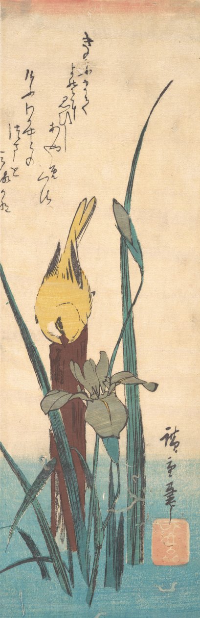 Fugl og Iris. af Ando Hiroshige