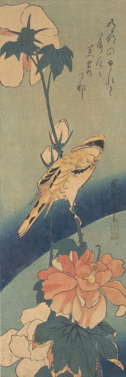 Sort-naped Oriole anbragt på en stilk af Rose Mallow, ca. 1834., ca. 1834. af Ando Hiroshige