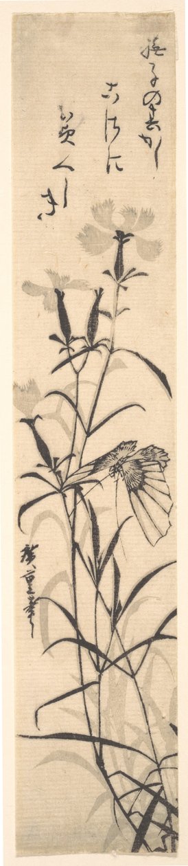 Sort og hvidt tryk af sommerfugl og blomst en lyserød. af Ando Hiroshige