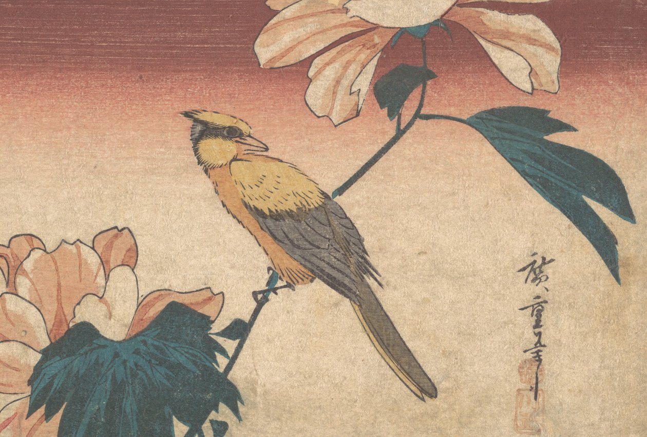Hibiscus Mutabilis og Jay, ca. 1840, ca. 1840 af Ando Hiroshige